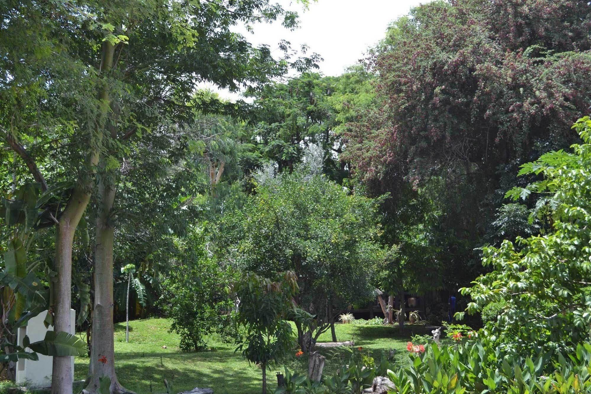 Tambuti Lodge Rundu Exterior photo